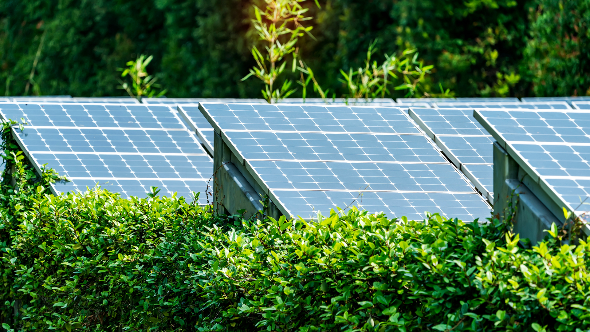 Green solar panels background