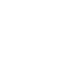 LED Bulb Icon