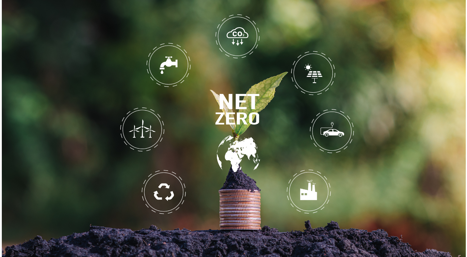 Plant growing from coins with sustainability icons