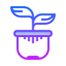 Potted Plant Icon