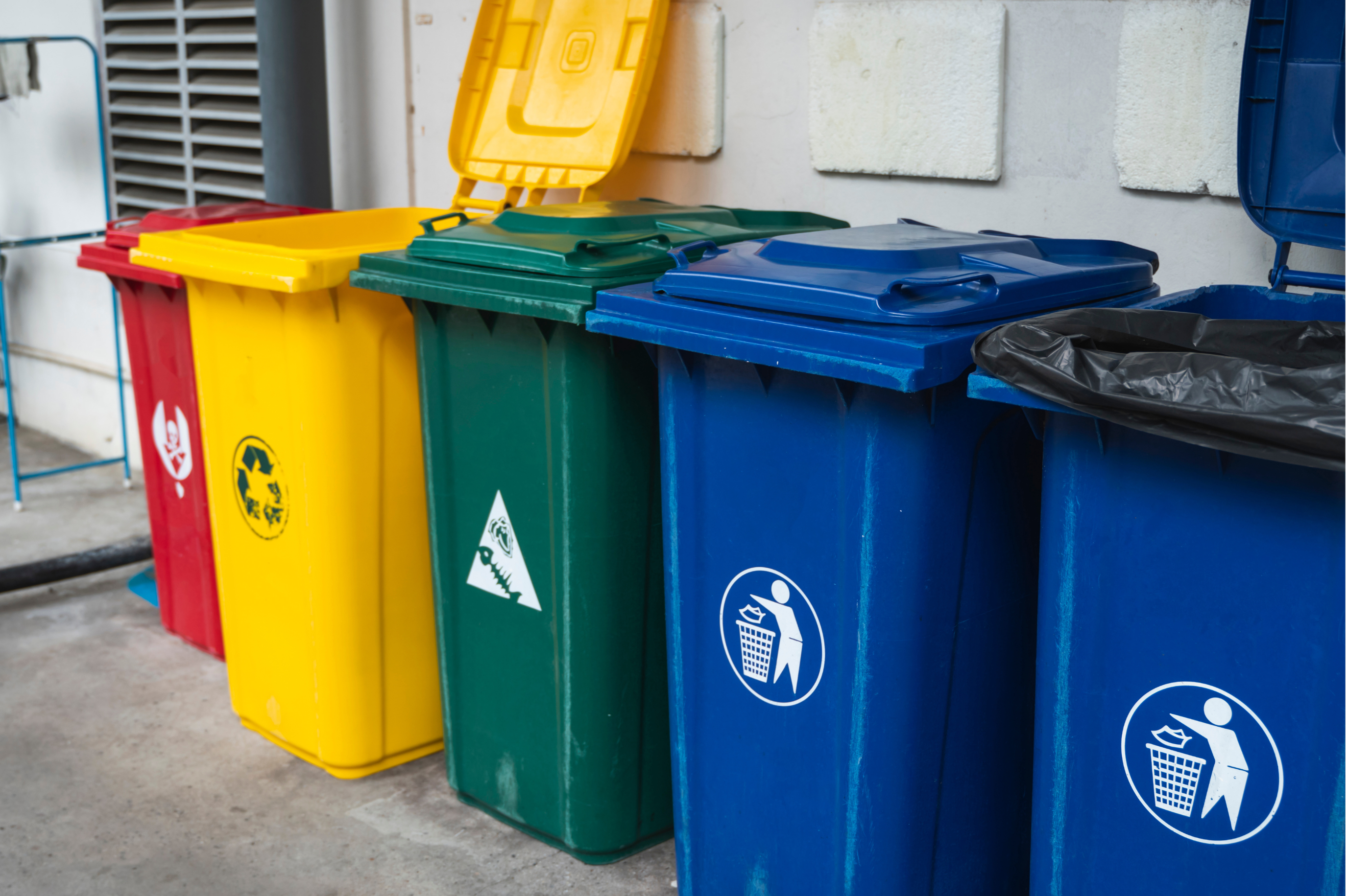 Segregated waste bins